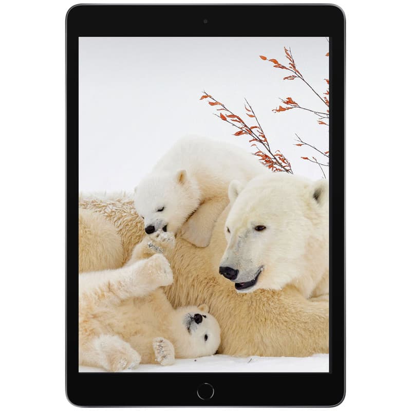 تبلت اپل مدل iPad (9th Generation) 10.2-Inch Wi-Fi (2021) ظرفیت 64 گیگابایت — تصویر ۲