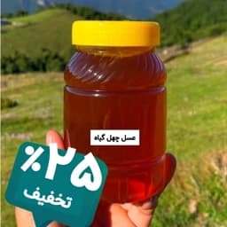 عسل طبیعی چهل گیاه طبیعی یک کیلویی (خرید از زنبوردار) برداشت جدید — تصویر ۳
