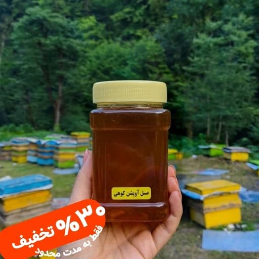عسل طبیعی آویشن کوهی ساکارز نیم درصد یک کیلویی ( خرید از زنبوردار )ارسال رایگان — تصویر ۲
