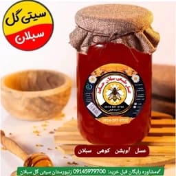 عسل آویشن کوهی 1 کیلویی سبلان(خرید از زنبوردار)ارسال رایگان — تصویر ۳