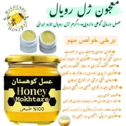 عسل کوهستان دارویی و 10 گرم ژل رویال تازه ایرانی سبلان(خرید از زنبوردار)ارسال رایگان — تصویر ۳