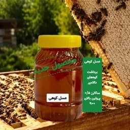 عسل کوهی برداشت کوه های دالامپر کیفیت ممتاز — تصویر ۷