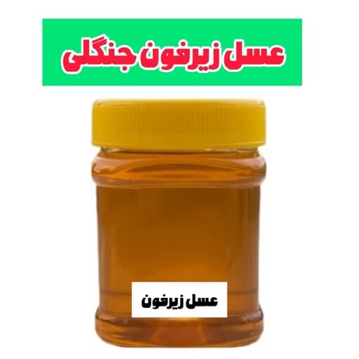 عسل طبیعی زیرفون جنگلی ساکارز زیر یک درصد نیم کیلویی