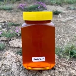 عسل کوهستان ساکارز زیر 3 برداشت دامنه پرگل سبلان (850 گرمی) — تصویر ۳