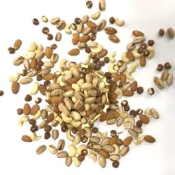 اجیل چهار مغز خام 500گرم — تصویر ۳