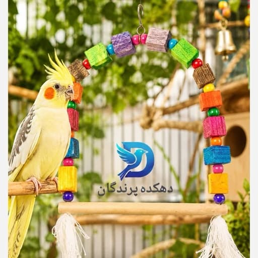 اسباب بازی پرنده مدل تاب بازی سایز بزرگ طوطیسانان عروس هلندی برزیلی راهب گرینچیک