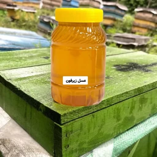 عسل طبیعی زیرفون جنگلی ساکارز زیر 1درصد(مستقیم از زنبوردار)ارسال رایگان