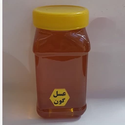 عسل گون کوهستان(1کیلو گرم) مستقیم از زنبوردار برداشت تابستان405