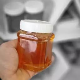 عسل طبیعی سبلان (نیم کیلویی) خرید مستقیم از زنبوردار — تصویر ۳