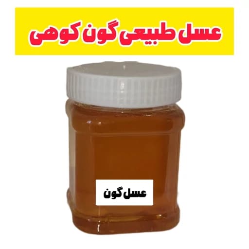 عسل طبیعی گون کوهی اصل کوهیار نیم کیلویی(خرید از زنبوردار) ارسال رایگان — تصویر ۲