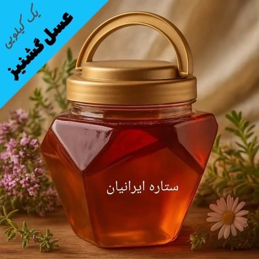 عسل طبیعی گشنیز درجه یک - با ضمانت مادام العمر (یک کیلویی) — تصویر ۴