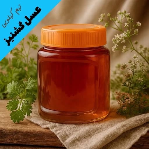 عسل طبیعی گشنیز درجه یک - با ضمانت مادام العمر (نیم کیلویی) — تصویر ۲