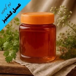عسل طبیعی گشنیز درجه یک - با ضمانت مادام العمر (نیم کیلویی) — تصویر ۵