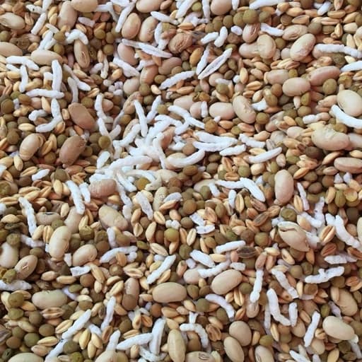 اجیل سلامت 500 گرم (شاهدانه گندم سویا برنجک عدس) — تصویر ۲