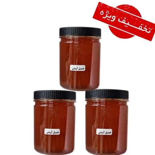 عسل طبیعی آویشن ( 3 کیلویی) خرید مستقیم از زنبوردار — تصویر ۴