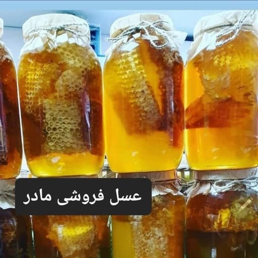 عسل طبیعی جنگلی (عسل فروشی مادر)