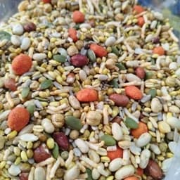 آجیل سلامت ترد و تازه (یک کیلو) — تصویر ۳