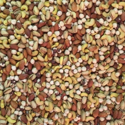 اجیل شور زعفرانی200 گرم(پسته با پوست بقیه مغز) — تصویر ۲