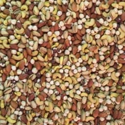 اجیل شور زعفرانی200 گرم(پسته با پوست بقیه مغز) — تصویر ۳