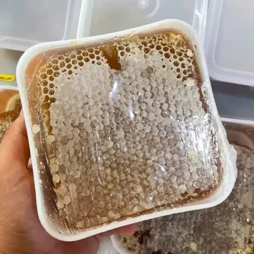 عسل باموم چهل گیاه (برداشت جدید و موم طبیعی) — تصویر ۲