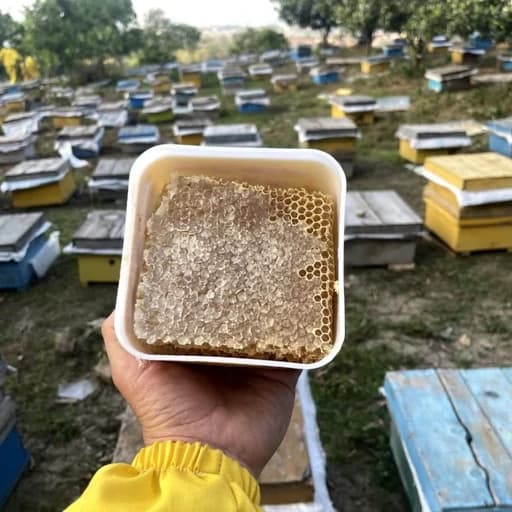 عسل باموم چهل گیاه (برداشت جدید و موم طبیعی) — تصویر ۴