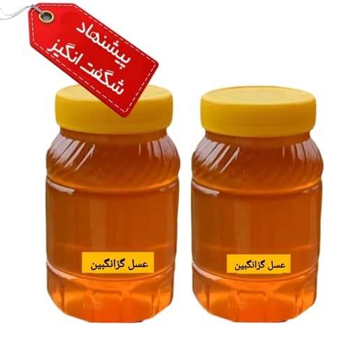 عسل طبیعی گزانگبین ساکارز زیر یک درصد (دو کیلویی) ارسال رایگان