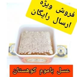 عسل طبیعی ارگانیک باموم کوهستان سبلان 1 کیلویی(مستقیم از زنبوردار)ارسال رایگان — تصویر ۳