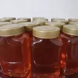 عسل گون طبیعی ساکارز 1.7 کیفیت عالی (1کیلویی) — تصویر ۵