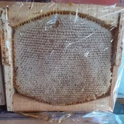 عسل وحشی چهل گیاه(برداشت از ارتفاعات قله سبلان) — تصویر ۳