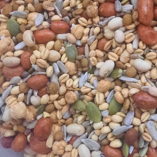 آجیل رژیمی پرانرژی یک کیلویی تازه امسالی