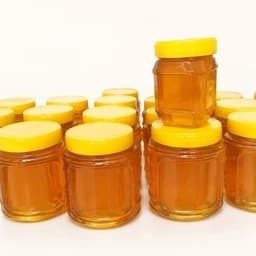 عسل دیابتی (یک کیلویی،نیم کیلویی) — تصویر ۳