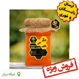 عسل طبیعی کوهستان بالچی (2 کیلوگرم) (خرید از زنبوردار نمونه و ارسال رایگان) — تصویر ۳
