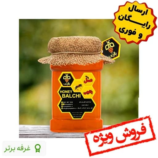 عسل طبیعی کوهستان بالچی (2 کیلوگرم) (خرید از زنبوردار نمونه و ارسال رایگان)