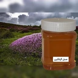 عسل گزانگبین ( نیم کیلویی) خرید مستقیم از زنبوردار — تصویر ۳