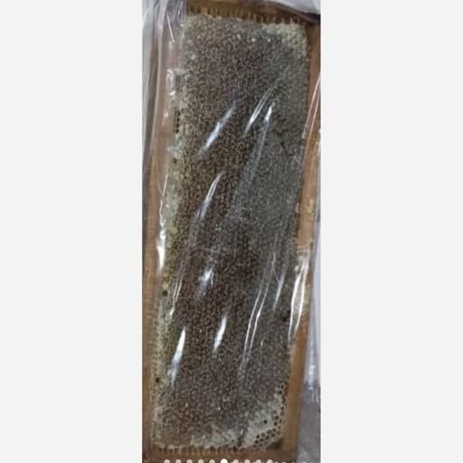 عسل سیاه طبیعی اردبیل با موم 1 کیلویی
