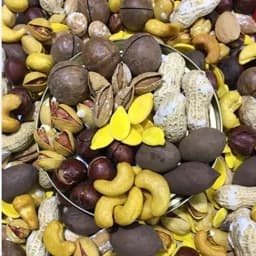 آجیل یلدا500گرم (اجیل یلدا ویژه) — تصویر ۳