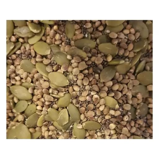 آجیل دانه های گیاهی نات لاین (300 گرمی)