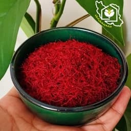 زعفران سرگل ممتاز قائنات (یک مثقالی) — تصویر ۳