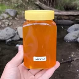 عسل گزانگبین ساکارز زیر 2 مستقیم از زنبوردار (850 گرمی) — تصویر ۵