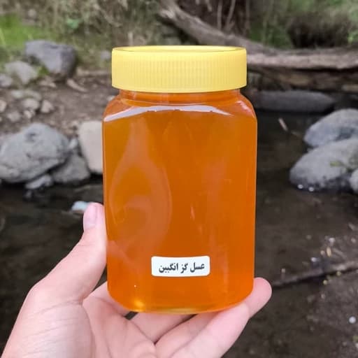 عسل گزانگبین ساکارز زیر 2 مستقیم از زنبوردار (850 گرمی) — تصویر ۴