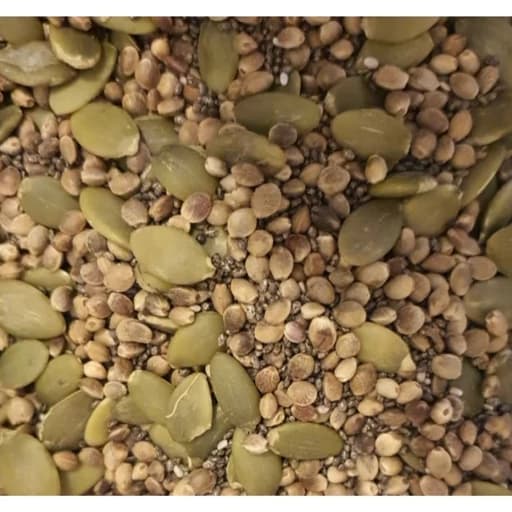 آجیل دانه های چربی سوز نات لاین (ارسال رایگان)