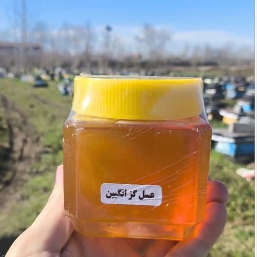 عسل طبیعی گزانگبین ساکارز زیر 2 (نیم کیلویی) — تصویر ۴