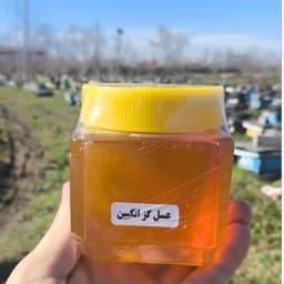 عسل طبیعی گزانگبین ساکارز زیر 2 (نیم کیلویی) — تصویر ۳