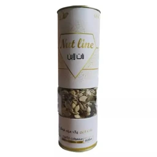 آجیل سالاد نات لاین 280 گرمی (ارسال رایگان)