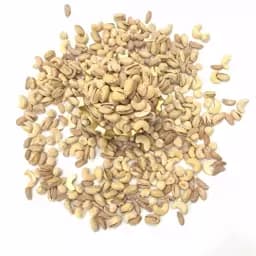 اجیل اریایی شور 250گرمی — تصویر ۳