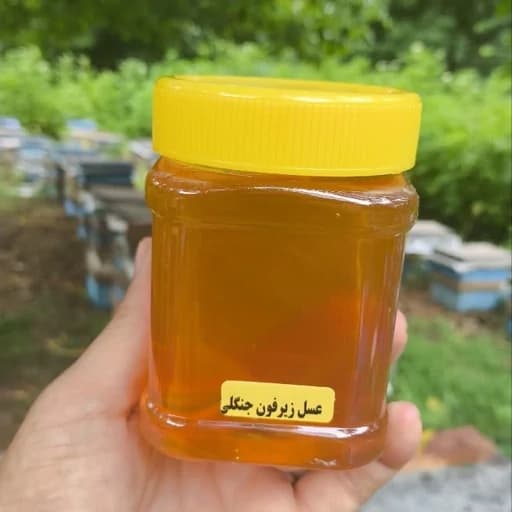 عسل طبیعی زیرفون جنگلی (نیم کیلویی) — تصویر ۲