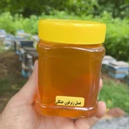عسل طبیعی زیرفون جنگلی (نیم کیلویی) — تصویر ۳