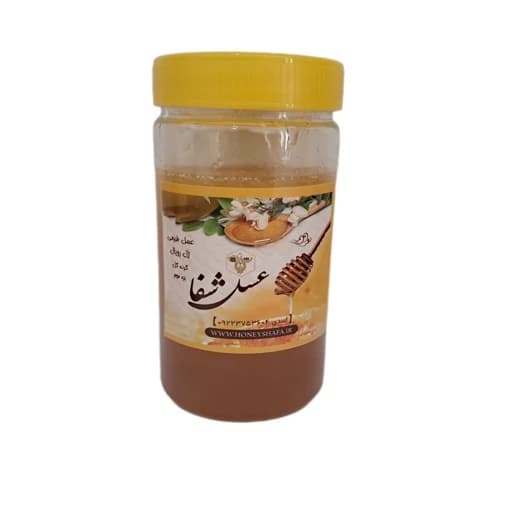 50 گرم ژل رویال در 500 گرم عسل درمانی — تصویر ۲
