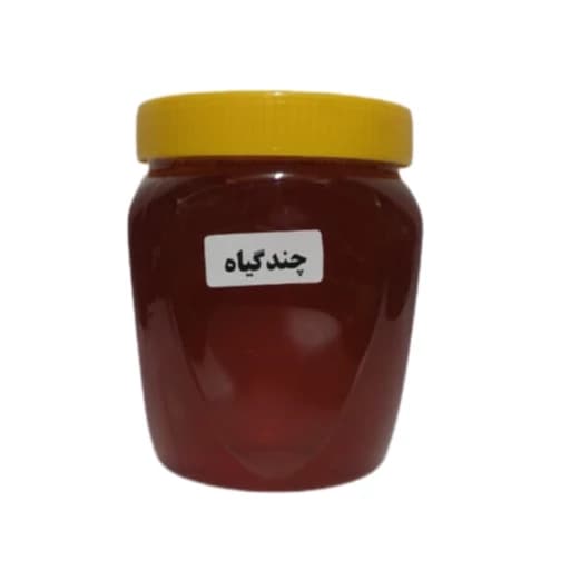 عسل چندگیاه 5ستاره فدک (500 گرم)
