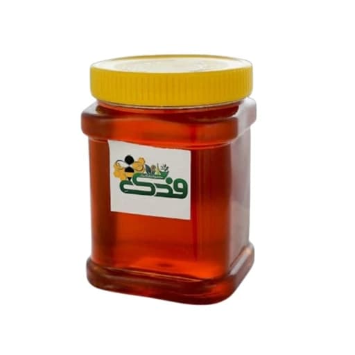 عسل صبحانه 5ستاره فدک (2 بسته یک کیلو)